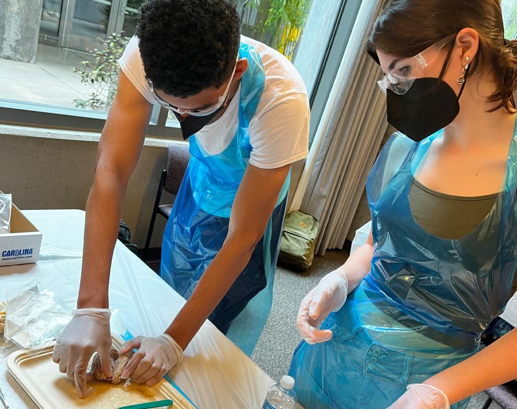 Emergency Medicine & Health Sciences Academy