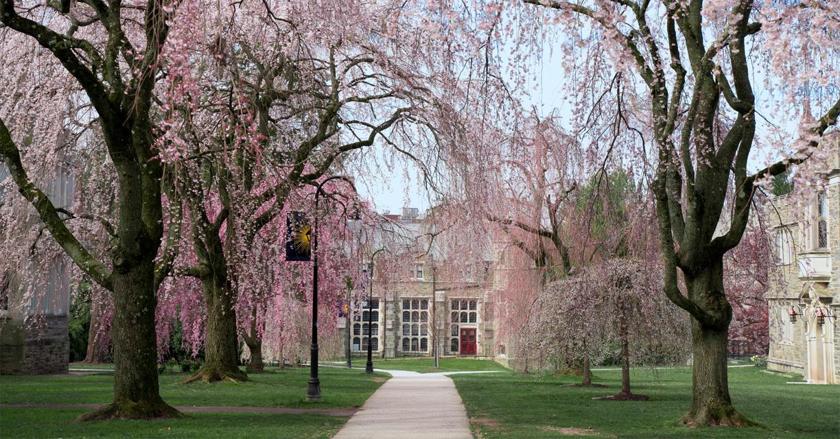 Bryn Mawr College